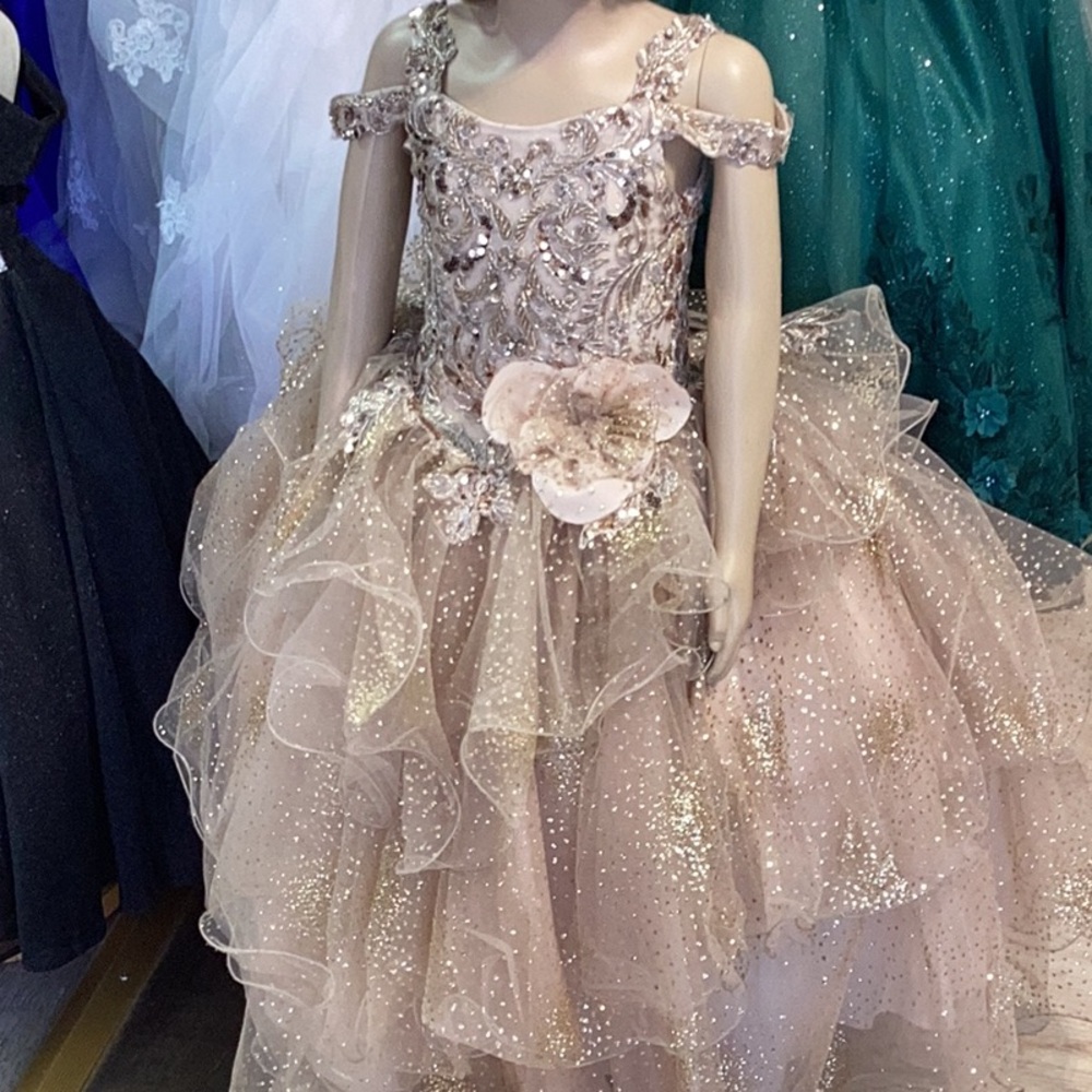 Champagne gown dress